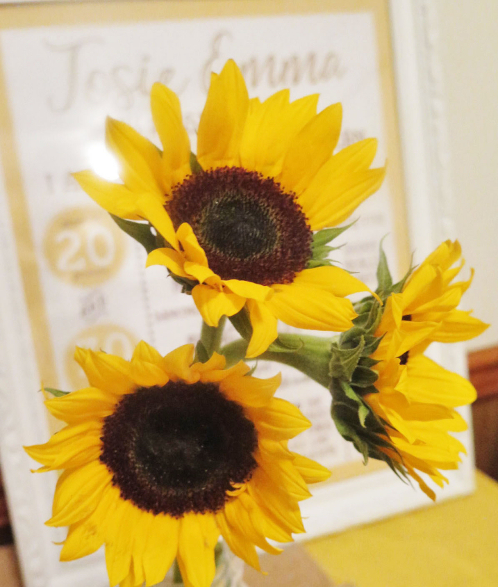 blog_sunflowers