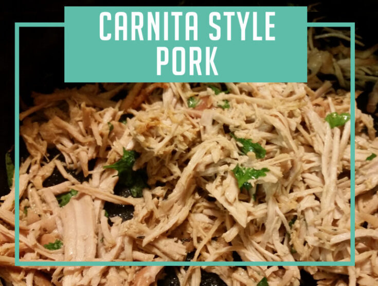 Slow Cooker Carnita Style Pork