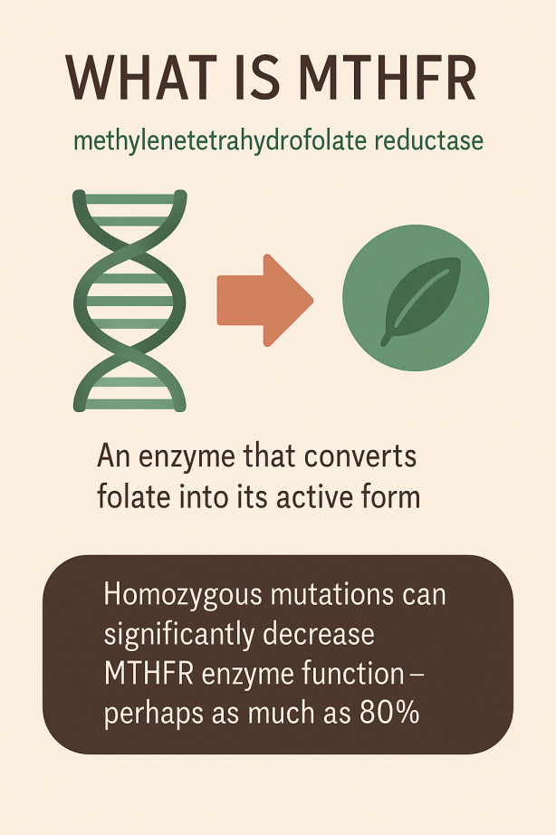 Mthfr homozygous